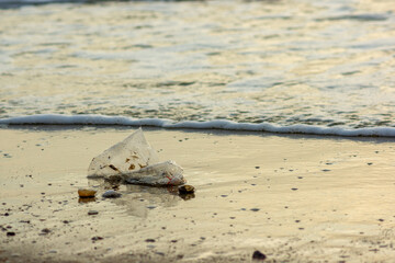 Plastic Waste Scattered on Beach Sand. Plastic waste on beaches is a serious global problem.