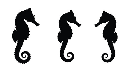 Three detailed seahorse illustrations in a striking black silhouette