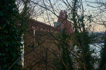 A view of the Forth Bridges near Edinburgh through leafless trees at sunset.