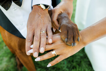 Bride and groom place their hands together, showing wedding rings, while their dog gently adds its paw on top. A heartwarming wedding moment symbolizing love, unity, and the bond with their pet