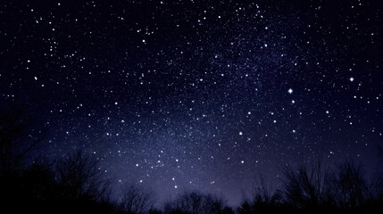 Obraz premium A dark sky with many stars and a few trees in the background. The stars are scattered throughout the sky, creating a sense of depth and vastness