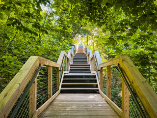 Wooden Stairway to Heaven. Modern wooden boardwalk with steps going up. The walkway is surrounded by green leafy trees.  Located in Northern Michigan, USA.