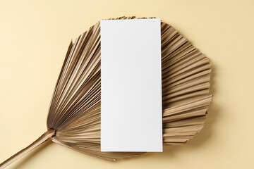Composition with blank card and tropical leaf on beige background, closeup © Pixel-Shot