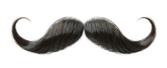 Realistic Thick Curly Handlebar Mustache with Twirled Dark Brown Ends, Detailed Fake Facial Hair Prop for Costumes, Isolated on Transparent and White Background