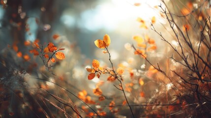 A close up of a field of yellow leaves. The leaves are scattered throughout the field, with some of them being larger and others smaller