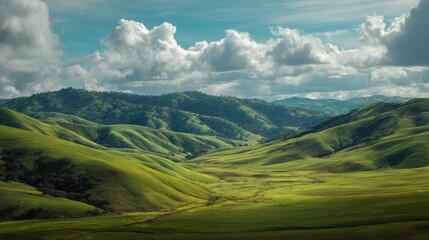 Naklejka premium A vast, open field with a few trees scattered throughout. The sky is cloudy, but the sun is shining through the clouds, creating a warm and peaceful atmosphere
