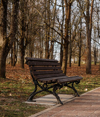 bench in the park