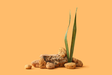 Decorative stone podiums with leaves on orange background