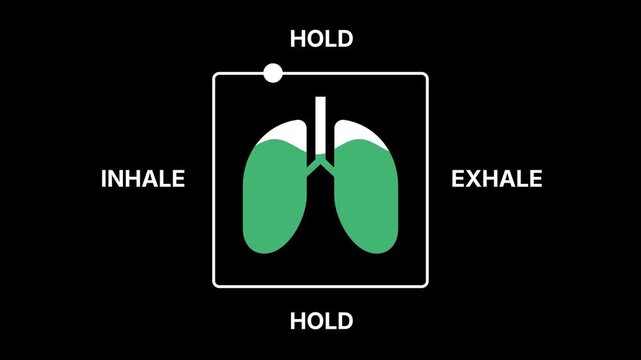 Box breathing exercise guide. Moving banner with inhale, hold, and exhale cycle on anatomical lung icon. Design for meditation apps. Flat graphic animated footage