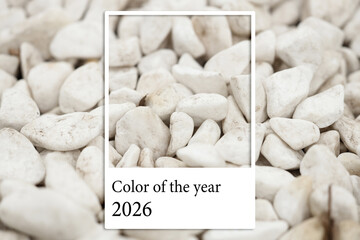 Texture of white pebbles as background, closeup