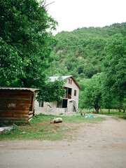 Obraz premium Farm, rural countryside with a small house, dirt road, grazing animals, and lush trees, capturing rustic charm and tranquil nature in a quiet outdoor scene