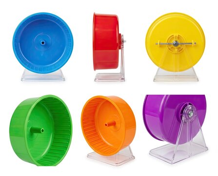 Various colorful hamster wheels on clear stands against a white background