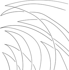 Adobe Illustrator Artwork with sharp plants or line art