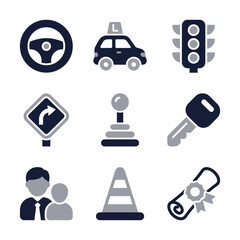 Simple Two Tone Driving School Element Icon Set and Learning Process