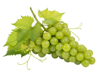 Fresh Green Grapes Bunch with Leaves on white background