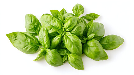 Fresh basil leaves arranged artistically on a white background, ideal for culinary and herbal presentations