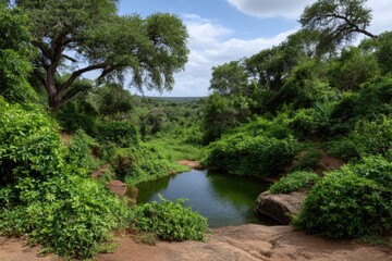 Still green pool amid lush vibrant vegetation Dense trees frame a serene scene