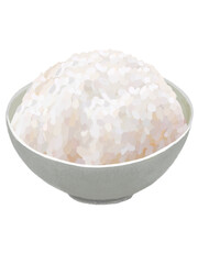 茶碗ご飯（特盛り）