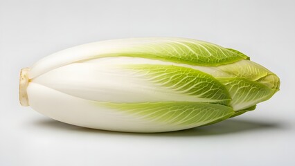 Fresh Belgian endive vegetable with pale green leaves and white core on a light background