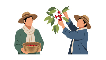 Two farmers picking ripe berries from a plant with baskets and hats on a sunny day.