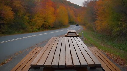 A winding road through an autumn landscape. Picnic tables in the foreground. Trees in vibrant fall colors line the roadway. Vehicle far away