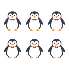 Obraz premium set of penguins with a blank background 