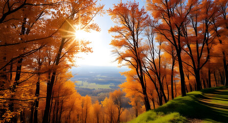 Golden Autumn Forest Landscape with Sun Rays, Colorful Trees and Scenic Valley View.