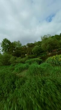 River winding through dense green forests and misty hills, smooth FPV drone flight, gliding over lily pads, overhanging trees and calm waters under soft overcast skies.