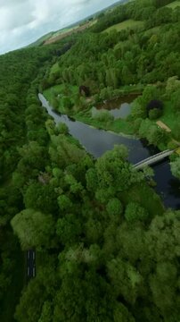 Emerald forests and meandering river view in thrilling FPV drone flight over treetops, raw nature with overcast skies and winding paths, scenic outdoor view.
