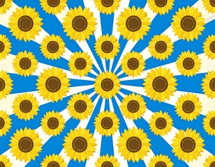 A vibrant pattern of sunflowers arranged in a radial design on a backdrop of blue and white rays