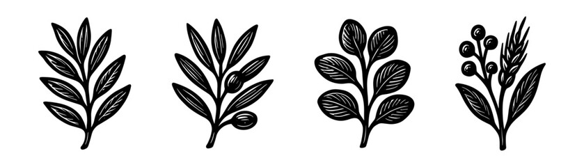 Ornamental botanical branches vintage engraving icons set