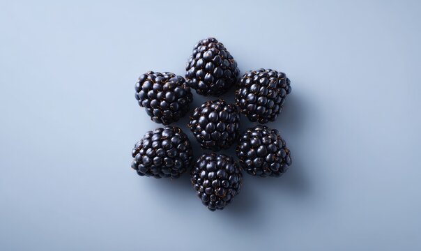 A bunch of black berries are arranged in a circle