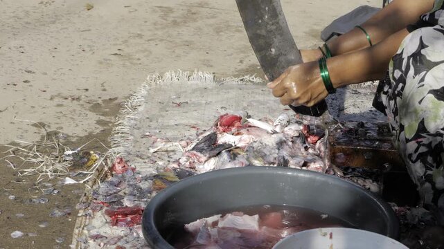 Fish Preparation  Expert Hand at Work