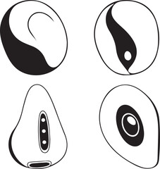 Stylish vector silhouettes of abstract organic seeds, highlighting unique internal structures in a clean black and white minimalist design, perfect for botanical graphic elements