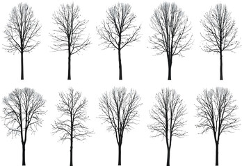 A collection of black silhouettes featuring various leafless trees on a white background