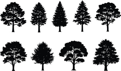 Fototapeta premium A collection of various tree silhouettes including deciduous and coniferous species
