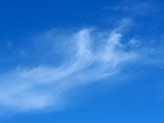 Fototapeta premium Wispy Winter Clouds Flowing Across a Clear Blue Sky, Early December in Louisville, Colorado