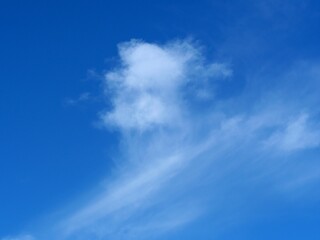 Wispy Winter Clouds in a Clear Blue Sky, Early December in Louisville, Colorado