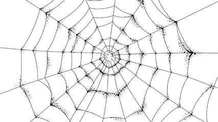 Obraz premium Macro closeup of a spider's web network covered in brilliant dew drops in the morning nature scene