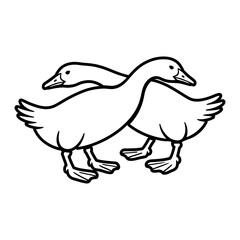 Geese