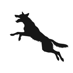 Black Silhouette of a Coyote Mid Leap Against a White Background Energetic Wild Animal Motion Full Body Shot