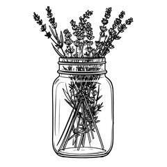 Line Art Illustration Of Lavender Flowers In A Mason Jar On A White Background