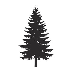 Douglas Fir tree black silhouette