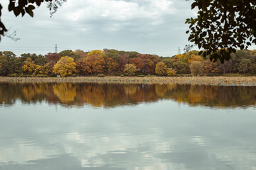 水面に反射するカラフルに紅葉する樹木