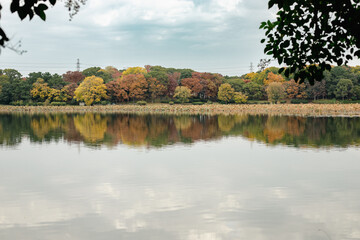 水面に反射するカラフルに紅葉する樹木