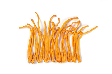 Golden cordyceps mushrooms isolated on white background.