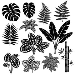 Stunning collection of tropical foliage silhouettes perfect for modern botanical design projects and nature themes © ahmad