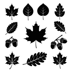 Stunning collection of black and white autumn leaf silhouettes and acorns perfect for seasonal design projects © ahmad