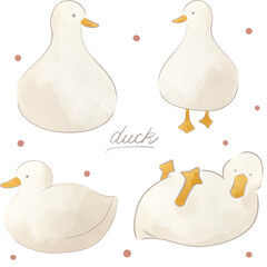水彩風の白いアヒルのイラストセット