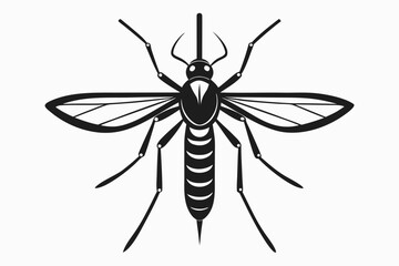 Mosquito Line Drawing Vector – Detailed Insect Outline Illustration for Science and Education